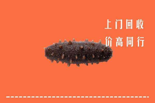 高价求购：南宁市宾阳县回收海参