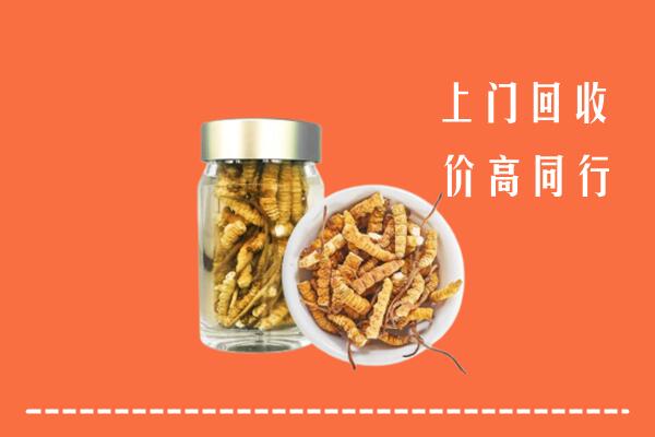 南宁市宾阳县回收冬虫夏草